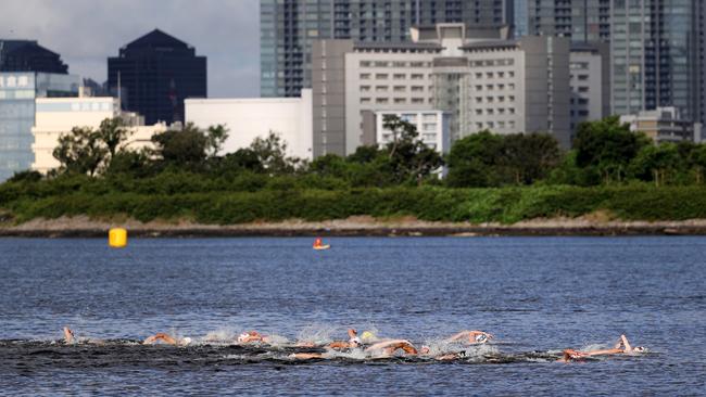 The swimmers in the women’s 10km marathon. Picture: Getty Images