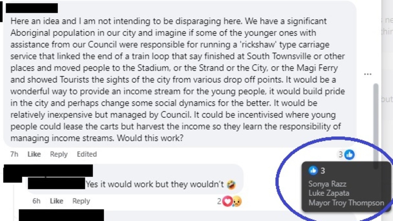 Mayor Troy Thompson liked a comment that suggested the Aboriginal population of Townsville should run a 'rickshaw'-type carriage service to transport residents around town.