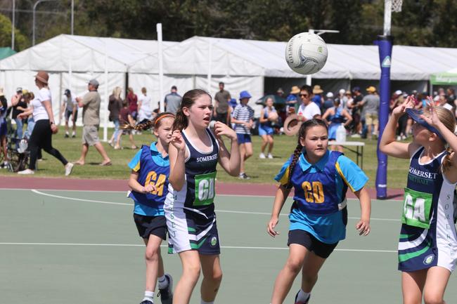The Netball Qld Primary Schools Cup grand finals are being held at the Hinterland District Netball Association at Mudgeeraba. Picture: Mike Batterham.