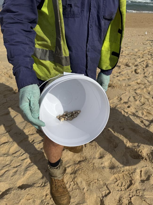 Northern Beaches Council workers collected mystery grey balls of pollution from Manly Beach on Tuesday. Picture: Northern Beaches Council