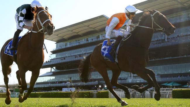 Montefilia had all the answers in the Flight Stakes at Royal Randwick. Picture: Getty Images