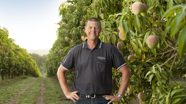 Pinata Farms managing director Gavin Scurr in a mango orchard.