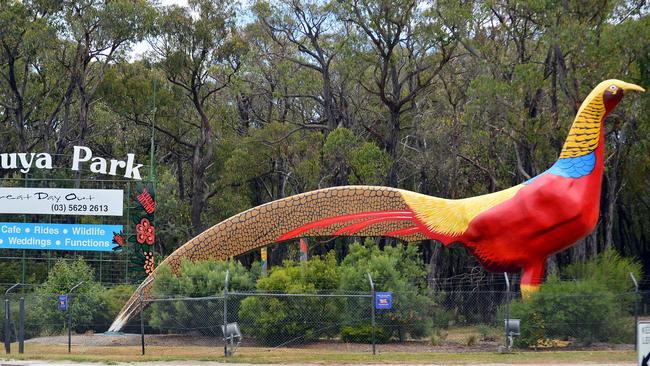 Gumbuya Park and the giant golden pheasant statue.