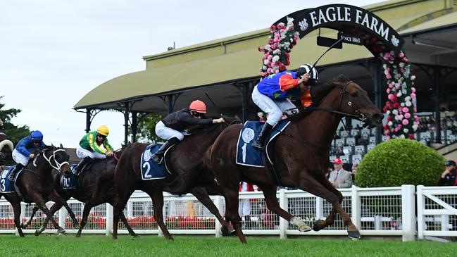 Bella Nipotina enjoyed one of the most dominant winter carnivals ever seen. Picture: Grant Peters/Trackside Photography