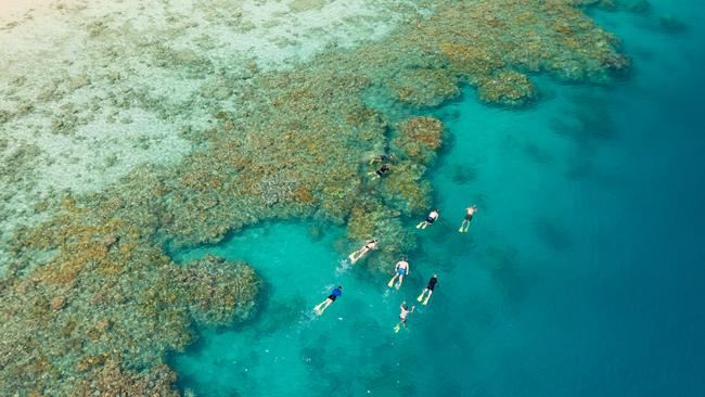 It’s my son’s first time snorkelling on the Great Barrier Reef and he’s understandably nervous. Picture: Riptide Creative.