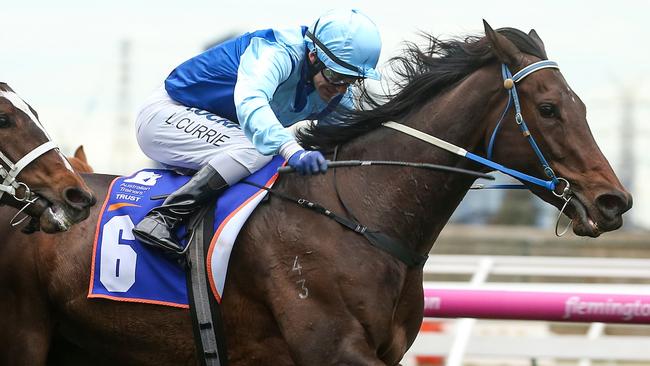 The Duff is keen on Lovani in the last at Rosehill Gardens. Picture: Getty Images