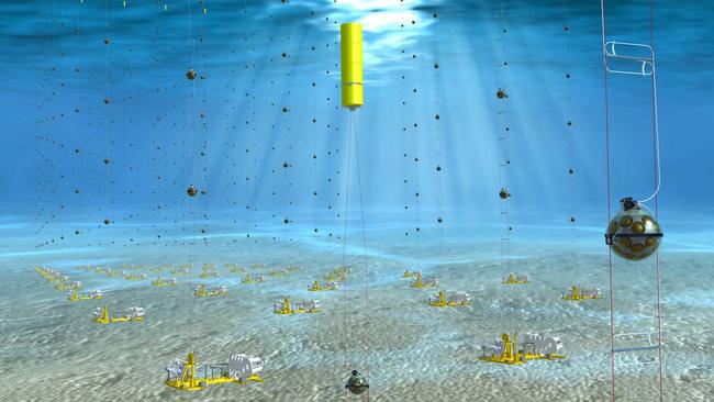 An artist’s impression of the KM3NeT telescope to be placed on the sea bed of the Mediterranean