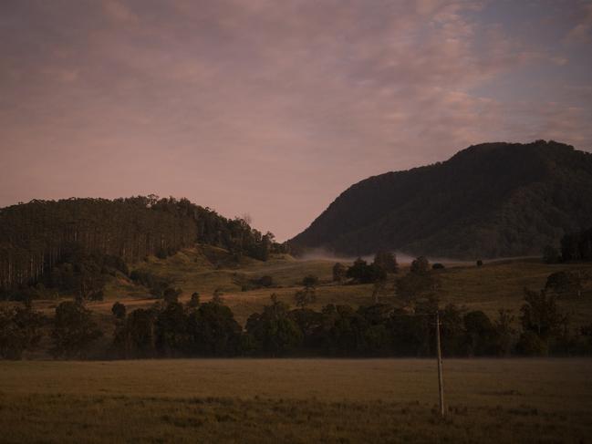 EMBARGO FOR TWAM 01 JUNE 2024. FEE MAY APPLY. ,  To the left, the area where John Van Der Kellen and Jane Morgan planted 28,000 trees when they bought a property outside Nimbin in 1997, and the bare pasture to the right which they intend to reforest Ã¢â¬â some areas for timber and others for the sake of biodiversity.The husband and wife, Van Der Kellen and Morgan, first purchased land outside Nimbin in 1997, planting 28,000 native trees on the bare paddocks in an effort to provide habitats for wildlife. Travelling regularly from their hometown of Newcastle to work on the property, planting trees and managing invasive species, the couple originally camped on the property with their children, more recently installing a shipping container and rainwater tank and building a basic deck and roof.One year ago, the couple were among around 25 shareholders who purchased a neighbouring block of land on which they plan to continue the work they started a quarter of a century ago, re-foresting land previously used for livestock. Some of the trees will be used for timber and others specifically to increase biodiversity and, for example, koala sanctuaries. The company created by the shareholders was named Seven Generations, symbolising the long-term outlook of the group.