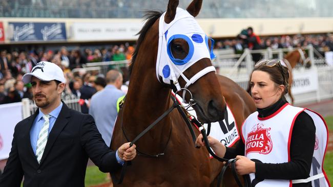 Mr Quickie before last year’s Caulfield Cup. Picture: AAP Image/Vince Caligiuri