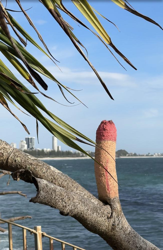 Burleigh Heads national park has been defaced on Saturday morning