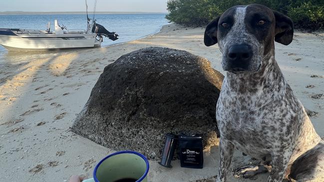 Camping with pup Yolanda on the beach.