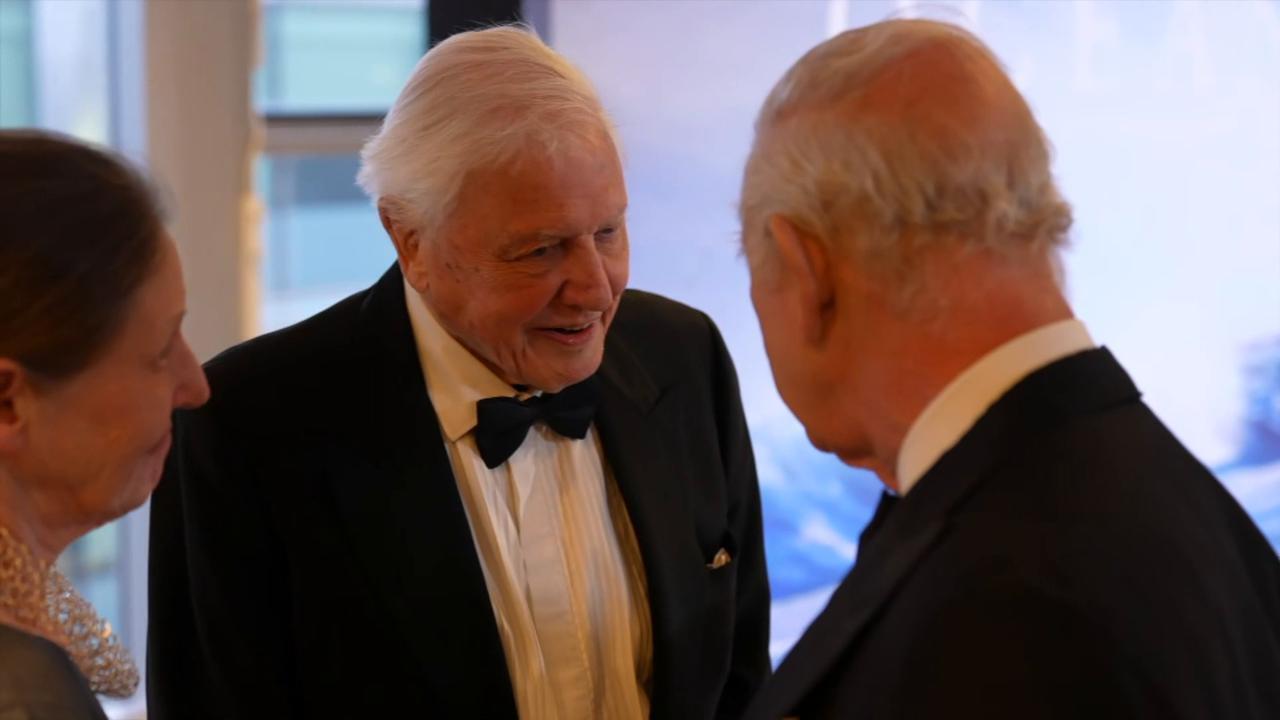 King Charles joins David Attenborough at Ocean premiere