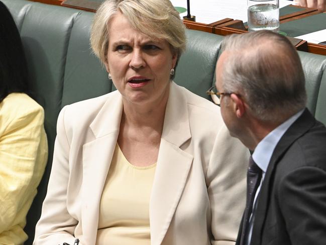 CANBERRA, AUSTRALIA, NewsWire Photos. FEBRUARY 14, 2024: Minister for Environment and Water Tanya Plibersek and Prime Minister Anthony Albanese during Question Time at Parliament House in Canberra. Picture: NCA NewsWire / Martin Ollman
