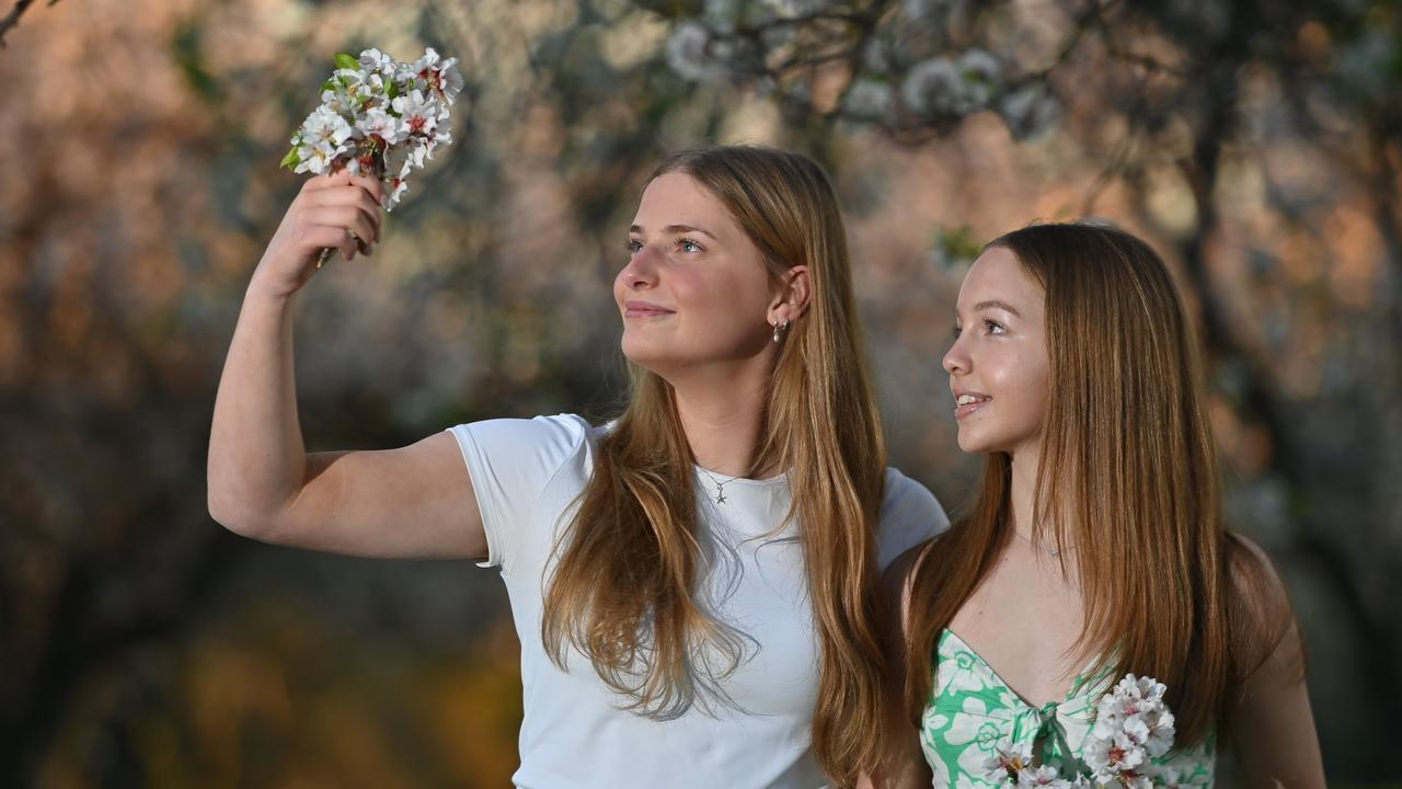 Friends India Stevens and Milla Bament-Green enjoy springlike weather among Adelaide almond trees in full bloom. Picture: Keryn Stevens