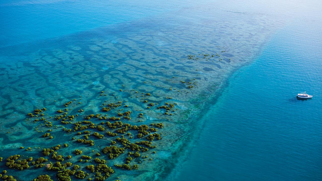 Holmes Reef near Horn Island in the Torres Strait Islands archipelago.