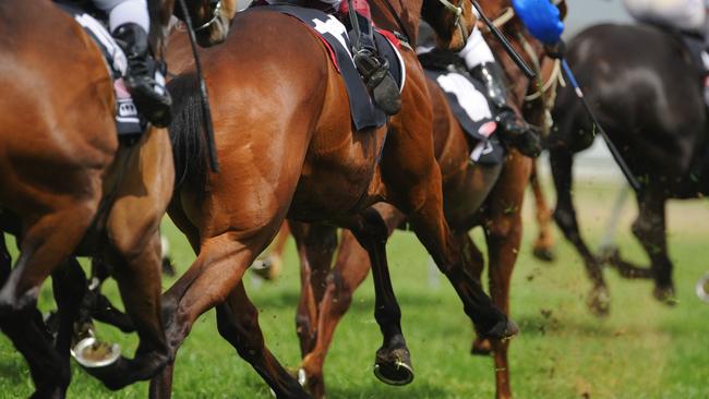 Three racehorses have died in a fatal crash in Victoria’s southeast on Monday.