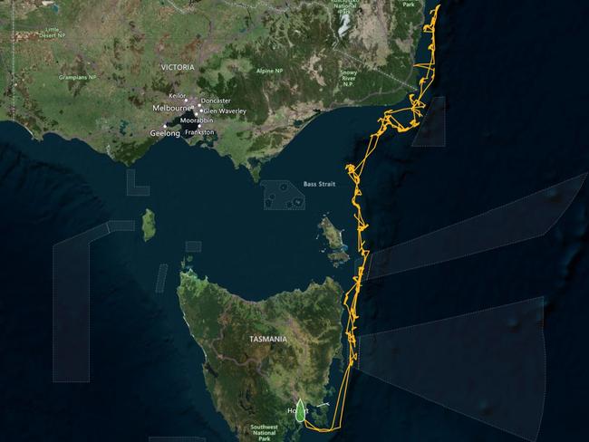 Map of the 2024 CSIRO South-East Australian Marine Ecosystem Survey voyage route.