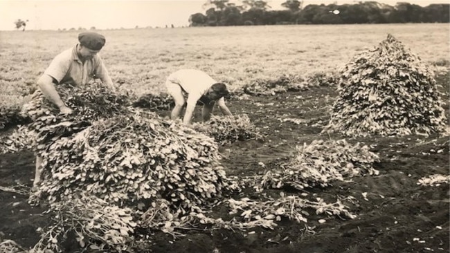 8 - Peanut Stooks