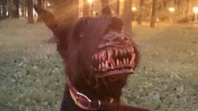 Photo of bizarre dog muzzle goes viral after going on sale on a Russian  website