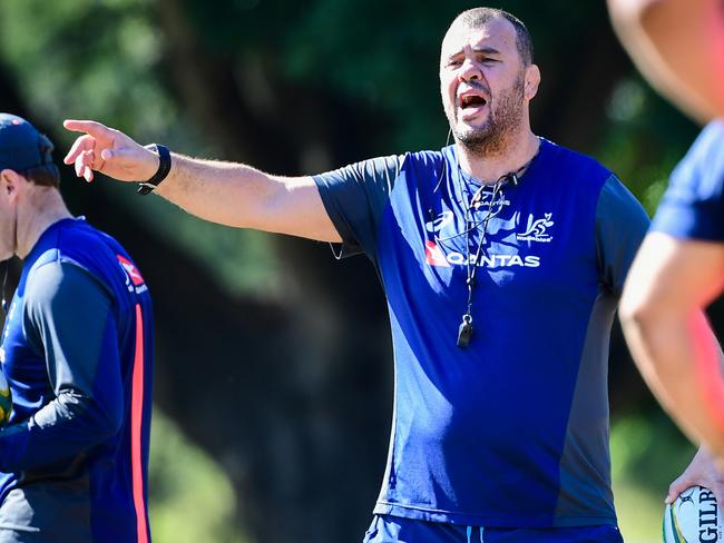 Head coach Michael Cheika says the mood in the Wallaby camp right now is better than ever.