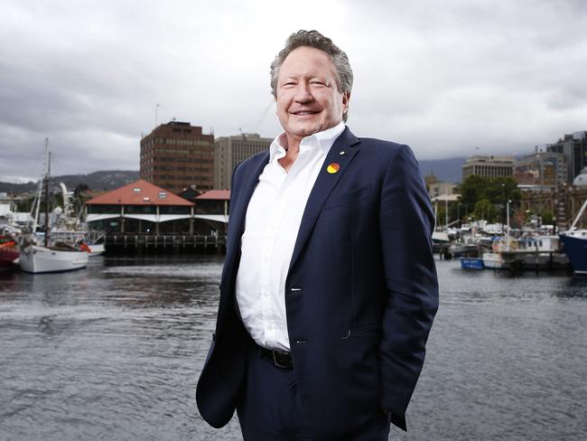 Fortescue dreamer has grand plans