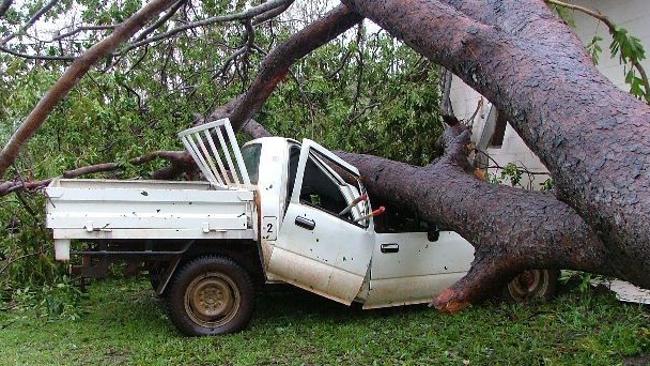 Car squashed by uprooted tree on Melville Island as a result of Cyclone Ingrid.