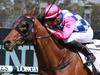 Port Macquarie, Albury preview: Morgan’s Cup chances are more than just talk