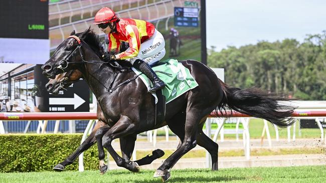 Piperita looks a great chance at Randwick-Kensington on Friday. Picture: Bradley Photos