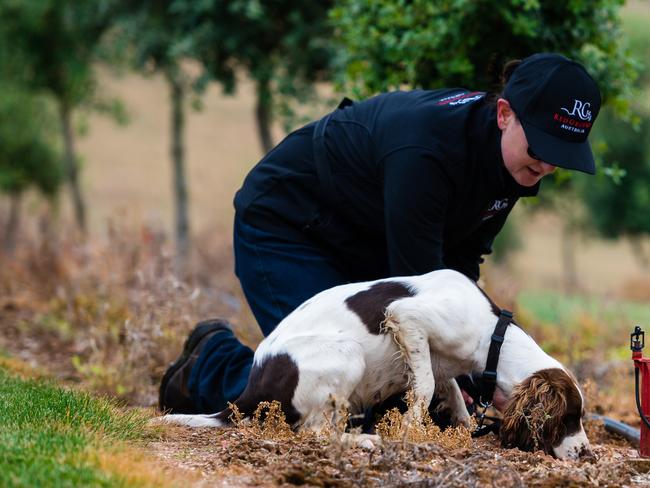 Seeking out truffles as part of The Hotel Morris' Hunt, Dine and Stay. Picture: Supplied