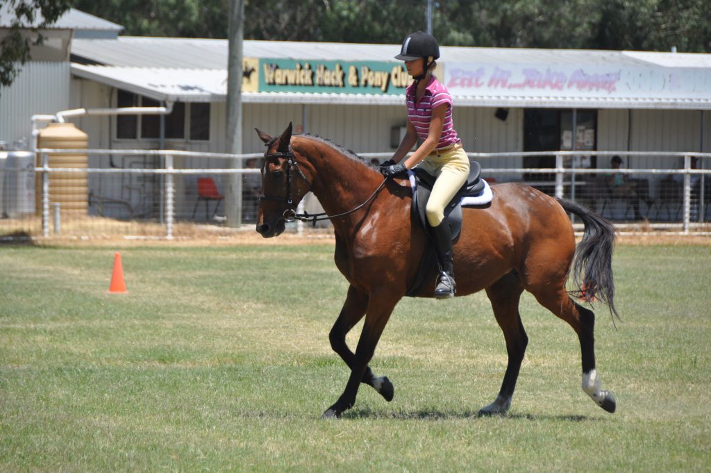 T-Shirt Hack Day to raise money for Warwick Show program | The Courier Mail