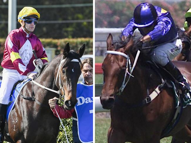 Trainer Lee Curtis is hoping Bauhinia (left) can scale the heights achieved by his former outstanding performer Private Steer.