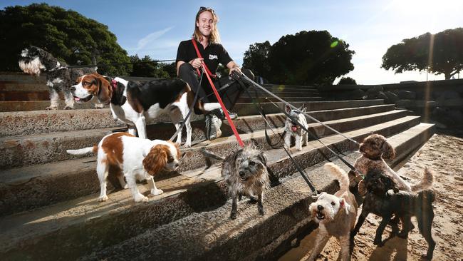 Dog walking is another option. Small business owner Xavier Diekman from Mad Dogs has done just that. Picture: Richard Dobson