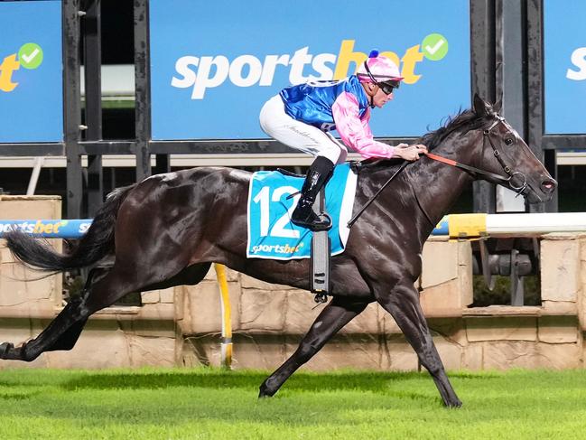 Gallant Prince ridden by Daniel Stackhouse wins the Sportsbet Nobody Does It Easier C,G&E BM64 Handicap  at Sportsbet Pakenham on March 15, 2024 in Pakenham, Australia. (Photo by Scott Barbour/Racing Photos via Getty Images)