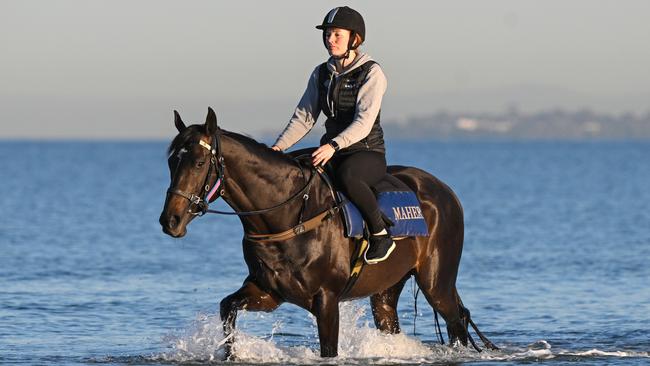 Gold Trip retires as a two-time Group 1 winner in Australia. Picture: Vince Caligiuri — Getty Images.