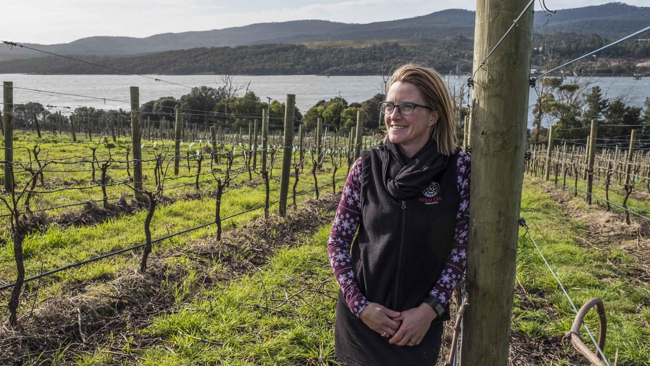 wine-equalisation-tax-rebate-cut-to-hit-tasmania-s-small-producers