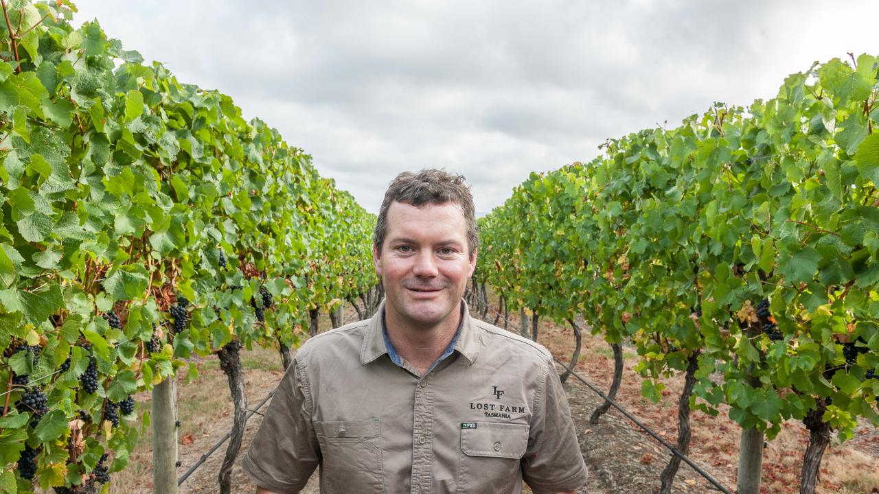 Winemaker Richard Angove at the Tasmanian vineyard. Picture: Kevin Daly