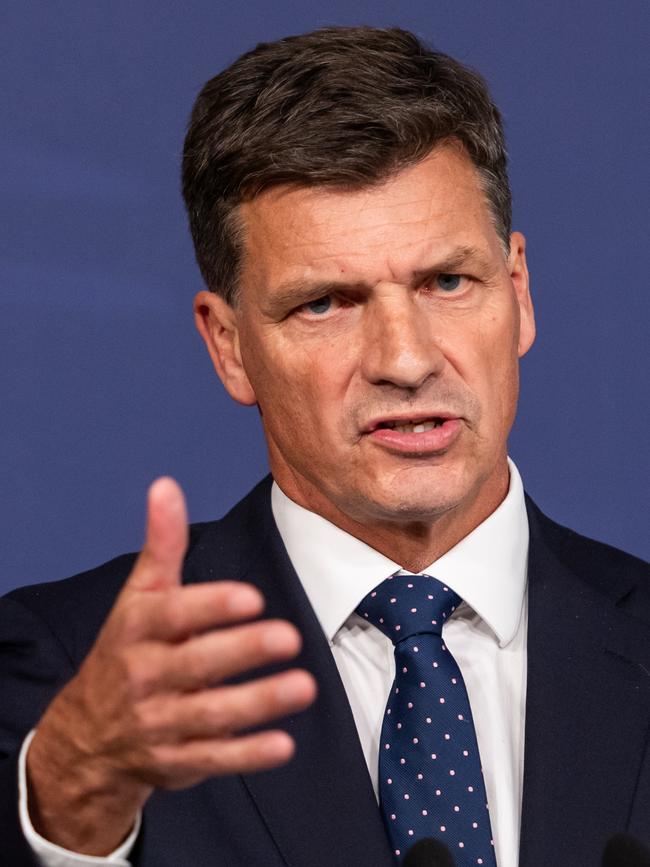 Shadow Treasurer Angus Taylor will be the only other candidate at the Liberal partyroom meeting on Tuesday. Picture: NewsWire / Monique Harmer