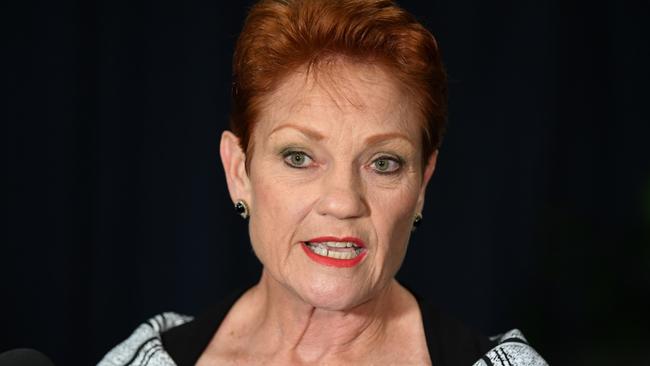 One Nation leader Senator Pauline Hanson holds a doorstop following the opening of the 57th Parliament at NSW Parliament in Sydney, Tuesday, May 7, 2019. (AAP Image/Joel Carrett) NO ARCHIVING