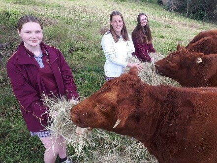 Alstonville High students Annie Tolman, Zoe Fairfull and Clara Tolman who won the national 2020 Women in Agri-tech Pitch Competition.