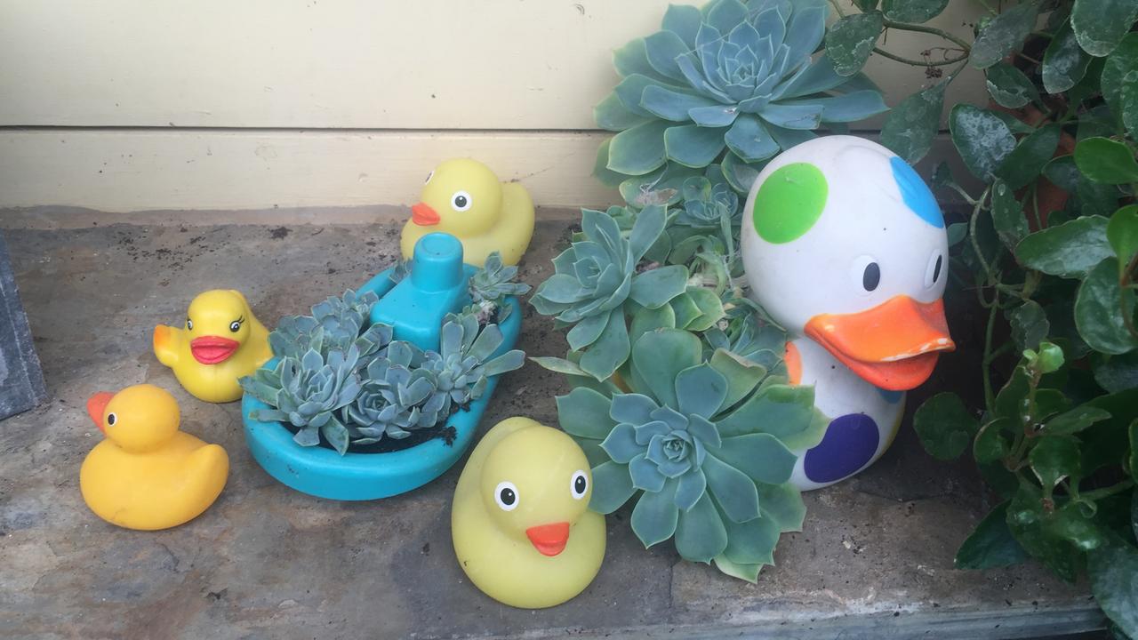 Repurpose favourite old toys into succulent containers.