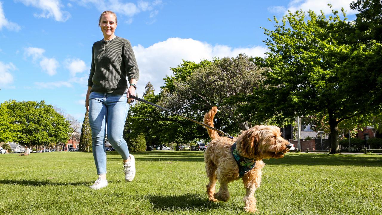 Rescued labradoodle Ted with his foster carer Ingrid Oliver of West Launceston. Picture: Patrick Gee