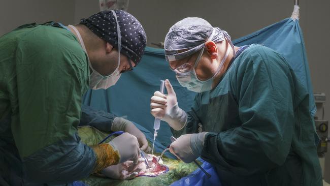 A surgeon must be able to focus solely on one thing: flawless execution. Picture: iStock