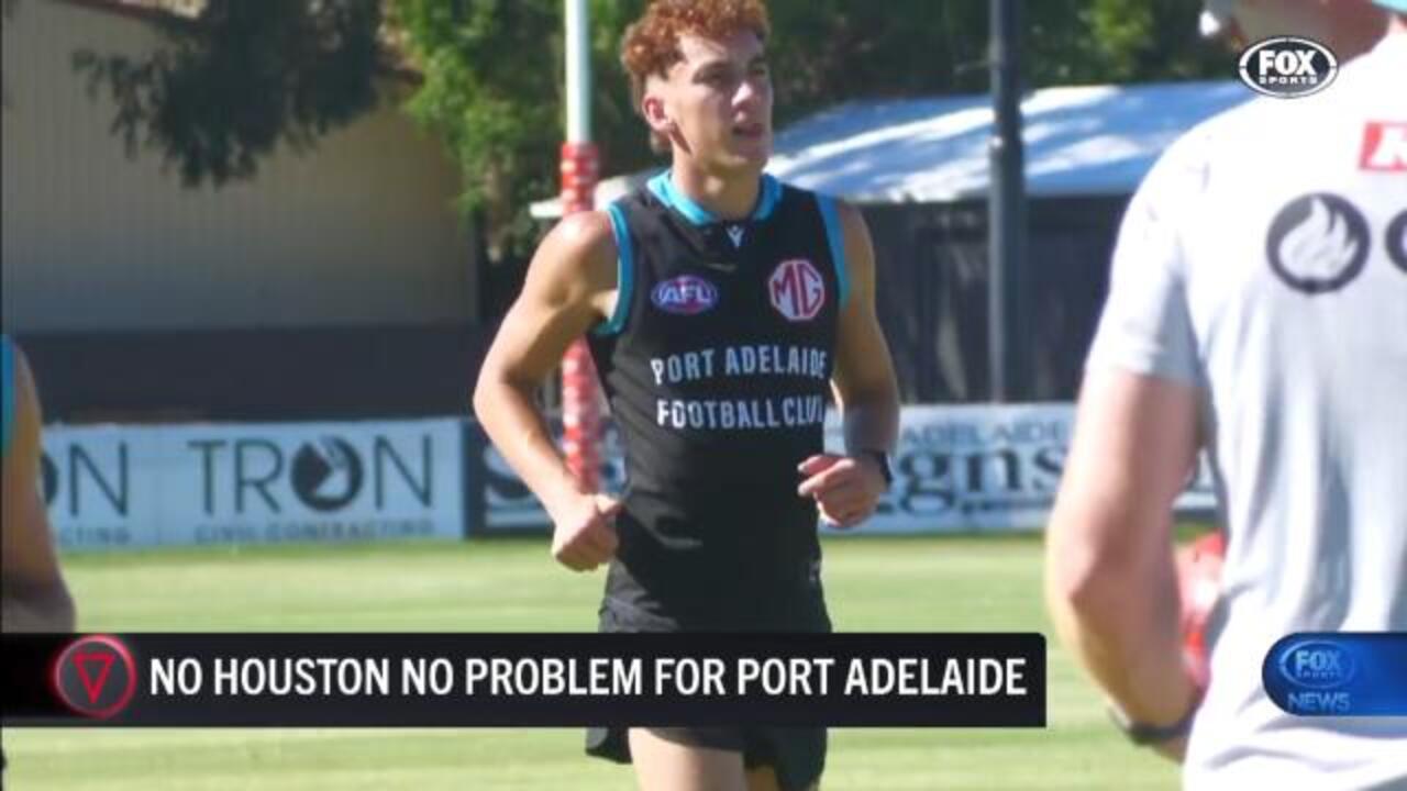 Port declare 'no Houston, no problem'