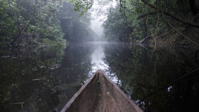 Is nature really at the centre of the ‘green dream’?