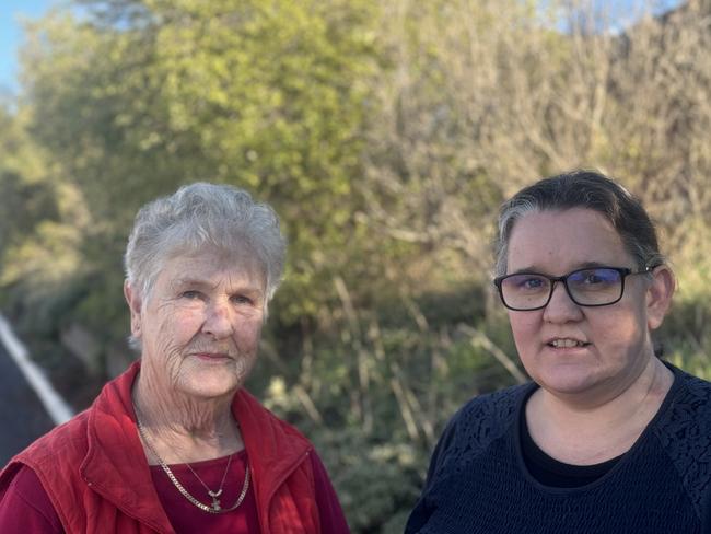 Geeveston resident Margaret Riley who is seeking home help and Geeveston Community Centre community connector Michelle Studley. Picture:Supplied