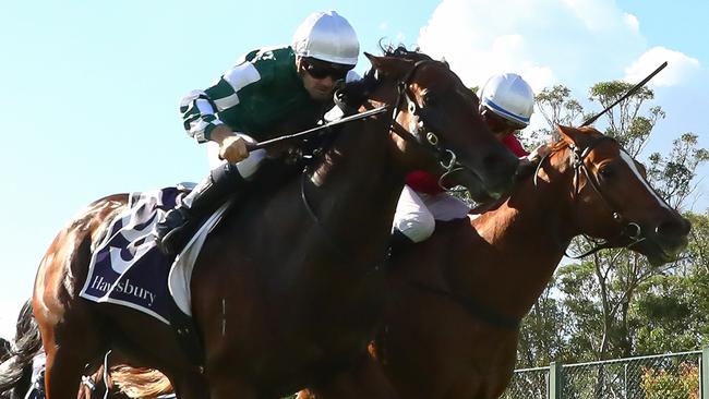 Media World holds off Just Party to win the Hawkesbury Guineas on Saturday. Photo: Jeremy Ng/Getty Images.