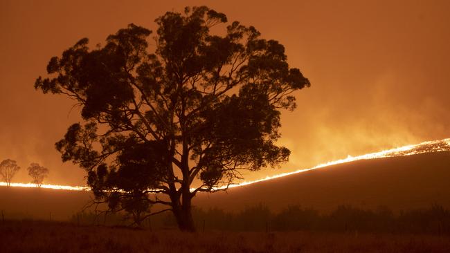 Banks will face stress tests to take stock of their vulnerability in the face of global warming. Picture: Getty Images