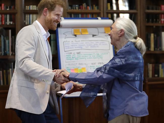 Prince Harry and Dr Jane Goodall. Picture: Getty