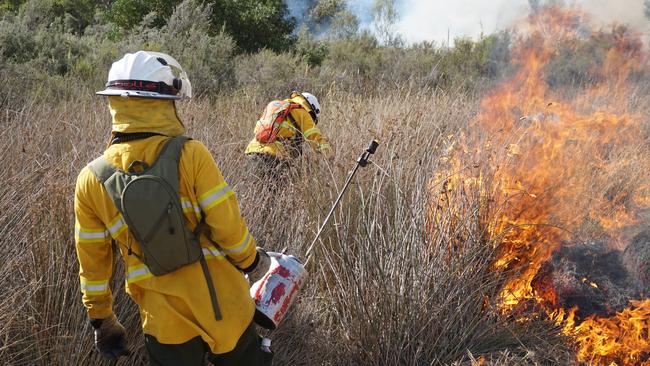 Department of Environment and Water staff undertaking prescribed burning. Picture: Supplied