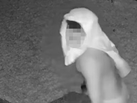 A hooded property invader attempts a break in at Mount Sheridan on Monday night. Picture: ChantÃ© Leopold